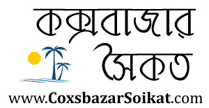 যারা মুজিবনগর দিবস পালন করে না, তারা প্রকৃত মুক্তিযোদ্ধা নয়’