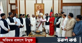 পাঁচ পৌরসভায় নৌকার টিকেট পেলেন যারা