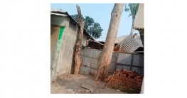 দেবীগঞ্জের ভাউলাগঞ্জ বাজারের খাস জমি কেনা-বেচার মহাউৎসব চলছে