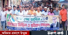 মনোহরগঞ্জে আওয়ামীলীগ ও সহযোগী সংগঠনের বিক্ষোভ