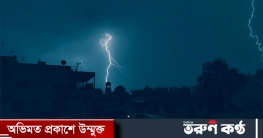 পটুয়াখালীতে বজ্রপাতে একটি গরুসহ কৃষকের মৃত্যু