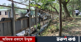ভালুকায় বসতবাড়ির সীমানা প্রাচীর ভেঙে জমি দখলের চেষ্টা 