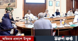 সেতু নির্মাণে ভুল নকশায় প্রধানমন্ত্রীর ক্ষোভ