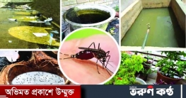 ডেঙ্গু প্রতিরোধ ও নিয়ন্ত্রণে গণযোগাযোগ অধিদপ্তরের নানা কর্মসূচি