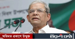 মির্জা ফখরুলের জামিন শুনানি আজ