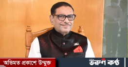 মির্জা ফখরুল তথ্যসন্ত্রাসীদের পক্ষ নিয়েছেন: কাদের