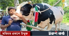 ফরিদপুরে ১৬০০কেজি ওজনের ডন দেখতে মানুষের ভিড়