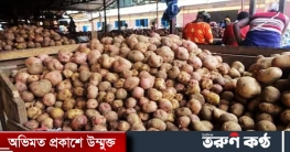 খুলনায় এখনও লাগামহীন আলুর দাম খুলনায় এখনও লাগামহীন আলুর দাম