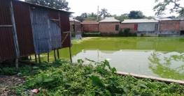 প্রভাবশালীদের দখলে সরকারি জমি