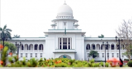 শিক্ষা প্রতিষ্ঠানে ভর্তিতে বৈবাহিক অবস্থা লিখতে বাধ্য করা যাবে না