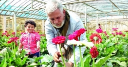ফুলচাষে প্রায় ৫০ লাখ মানুষের জীবন-জীবিকা নির্বাহ  ৬০ কোটি টাকাফুল