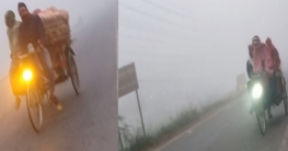 বৃষ্টির মতো কুয়াশা মানিকগঞ্জে , ভোগান্তিতে নিম্ন আয়ের মানুষ