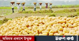 চাহিদার চেয়ে উৎপাদন বেশি আলুর, রপ্তানিতে সমাধান খুঁজছে সরকার