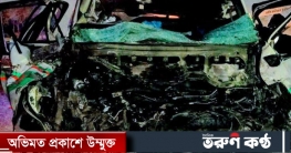 জাজিরায় সড়ক দুর্ঘটনায় অ্যাম্বুলেন্সের ৬ আরোহী নিহত