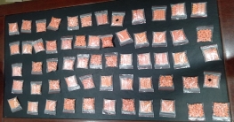 বংশালে ৩০০০ পিস ইয়াবাসহ মাদক ব্যবসায়ী গ্রেফতার বংশালে ৩০০০ পিস ইয়াবাসহ মাদক ব্যবসায়ী গ্রেফতার