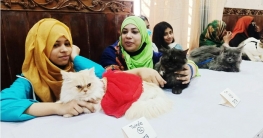 বগুড়ায় পোষা প্রাণীর প্রদর্শনী