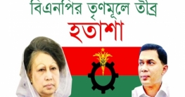নির্দেশনা নেই বিএনপির, তৃণমূলে হতাশা