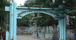 যশোর বোর্ডে বেড়েছে পাসের হার ও জিপিএ-৫