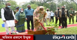 জলবায়ু পরিবর্তনের অভিঘাত থেকে রক্ষায় গাছ লাগান : প্রধানমন্ত্রী