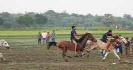 নড়াইলের ঐতিহ্যবাহী ঘোড়দৌড়