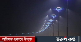 নৌকা আকৃতির সড়ক বাতিতে আলোকিত ময়মনসিংহ