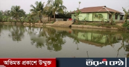 নড়াইলে পুকুরে ডুবে শিশু দুই ভাইয়ের মৃত্যু
