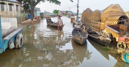 শাল্লায় বাড়ছে বন্যার পানি, লোকজন ছাড়ছে বাড়ি-ঘর
