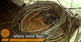 অভিনব পন্থায় পিতা-পুত্রের বিদ্যুৎ চুরি: ডিমলায় মিটার ও তার জব্দ