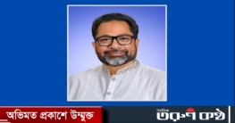 আহম্মদ সোহেল মঞ্জুর নেতৃত্বে ভান্ডারিয়া উপজেলা বিএনপি সু সংগঠিত