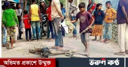 মামার বিয়েতে এসে অটোরিকশার ধাক্কায় প্রাণ গেল শিশুর