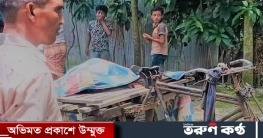চৌদ্দগ্রামে স্ত্রী হাতে স্বামী খুন