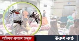 ডেঙ্গু সন্দেহে ২২ জনের মৃত্যু, ১১ দিনে শনাক্ত আড়াই হাজার ডেঙ্গু সন্দেহে ২২ জনের মৃত্যু, ১১ দিনে শনাক্ত আড়াই হাজার