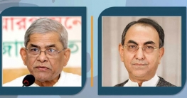 হাইকোর্টে মির্জা ফখরুল-আব্বাসের জামিন শুনানি দুপুরে হাইকোর্টে মির্জা ফখরুল-আব্বাসের জামিন শুনানি দুপুরে