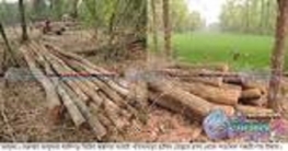 ভালুকা উথুরায়  গজারী বন থেকে ১৬বছরের কিশোরের লাশ উদ্ধার