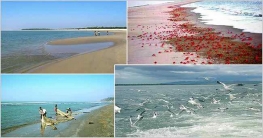 বৈদেশিক মুদ্রা আয়ের সম্ভাবনাময় খাত কক্সবাজার সমুদ্রসৈকত