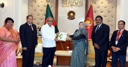 নিজ উদ্যোগে মানবাধিকার কমিশনকে কাজ করার নির্দেশ রাষ্ট্রপতির