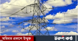 বাংলাদেশে নেপালের বিদ্যুৎ সরবরাহের প্রস্তাব বিবেচনা করছে দিল্লি