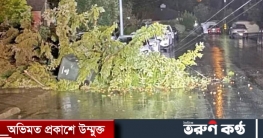 ক্যালিফোর্নিয়ায় ঝড়ের তাণ্ডব, বিদ্যুৎহীন ৬০ হাজার বাড়ি- ব্যবসা প