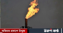 গ্যাসের মূল্যবৃদ্ধি নিয়ে যা বলল জ্বালানি বিভাগ