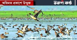 হাওর অঞ্চলে অবাধে চলছে অতিথি পাখি শিকার