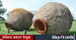 সোনার খনি থেকে উদ্ধার দুই ‘ভীমরুলের চাক’ নিয়ে রহস্য কাটেনি আজও