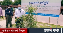 বৃক্ষরোপণকে সামাজিক আন্দোলনে পরিণত করতে হবে: এলজিআরডি মন্ত্রী
