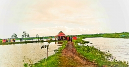 পর্যটকদের আকৃষ্ট করছে কুমিল্লার ঘোগরাবিল