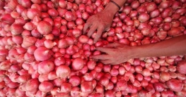 লক্ষ্মীপুরে দেড় হাজার কেজি পেঁয়াজ জব্দ, গোডাউন সিলগালা লক্ষ্মীপুরে দেড় হাজার কেজি পেঁয়াজ জব্দ, গোডাউন সিলগালা