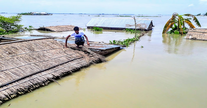 ক্যাপশনঃ ছবিগুলো টাঙ্গাইলের ভূঞাপুর উপজেলার গাবসারা চরাঞ্চল এলাকা থেকে প্রতিনিধির তোলা।