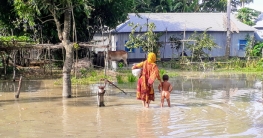 টাঙ্গাইলে তৃতীয় দফায় পানি বৃদ্ধি, বিশুদ্ধ পানির সংকট