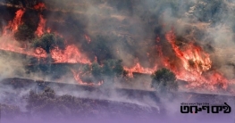 পুড়ছে পশ্চিম তীর, ফিলিস্তিনি কৃষকদের জীবিকায় ইসরায়েলের রক্তচক্ষু পুড়ছে পশ্চিম তীর, ফিলিস্তিনি কৃষকদের জীবিকায় ইসরায়েলের রক্তচক্ষু