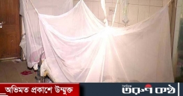ডেঙ্গুতে ২ জনের মৃত্যু, হাসপাতালে ভর্তি ৩৬৪