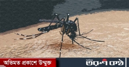 ডেঙ্গুতে আরো ৩ জনের মৃত্যু, হাসপাতালে ভর্তি ৫৮০