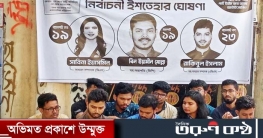 সবার ইশতেহারে ঘুরেফিরে পুরোনো প্রতিশ্রুতি, বাস্তবায়ন কতটা সম্ভব?
